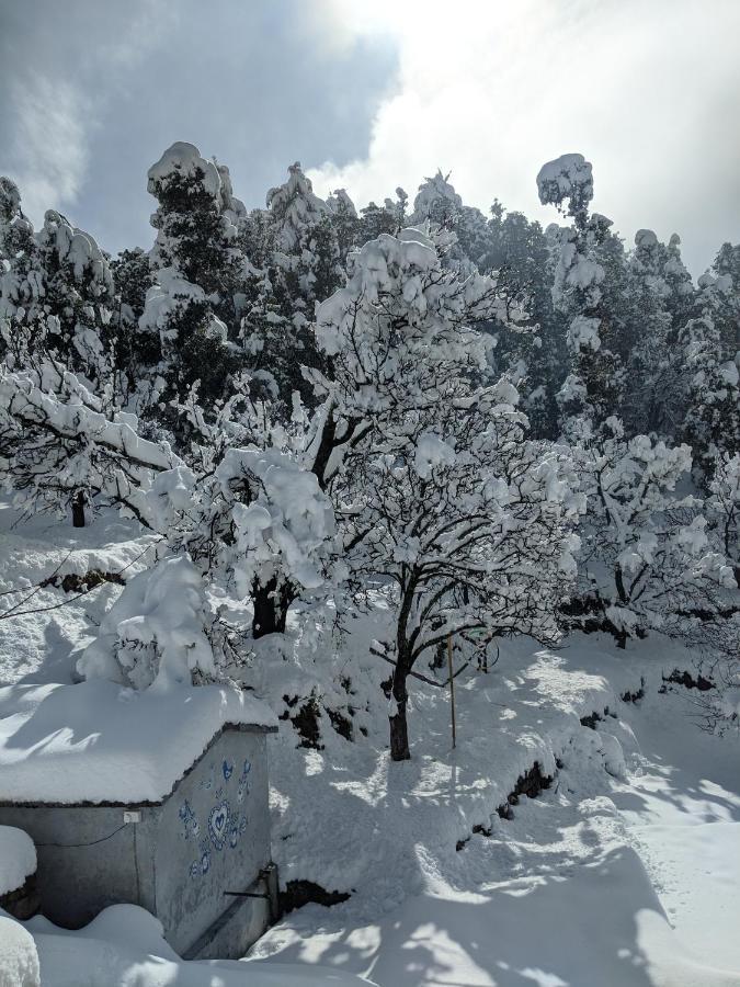 Namastay Himalayas, كاناتال المظهر الخارجي الصورة