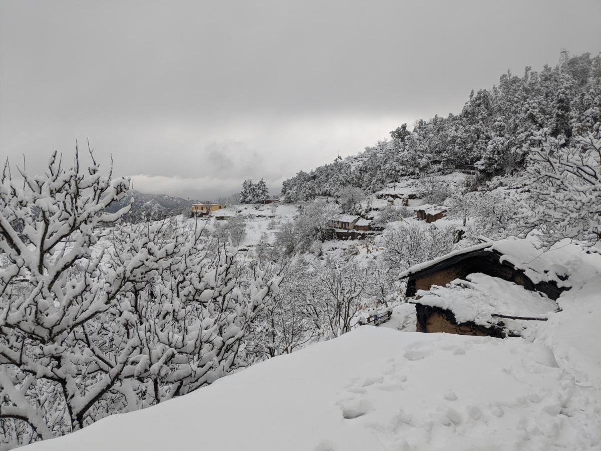 Namastay Himalayas, كاناتال المظهر الخارجي الصورة
