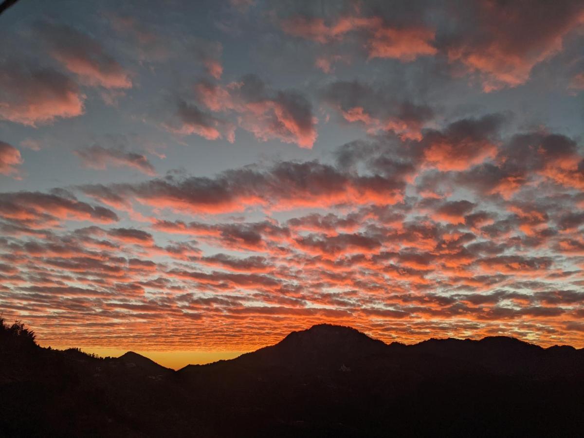 Namastay Himalayas, كاناتال المظهر الخارجي الصورة