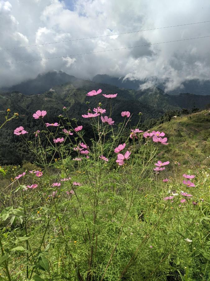 Namastay Himalayas, كاناتال المظهر الخارجي الصورة
