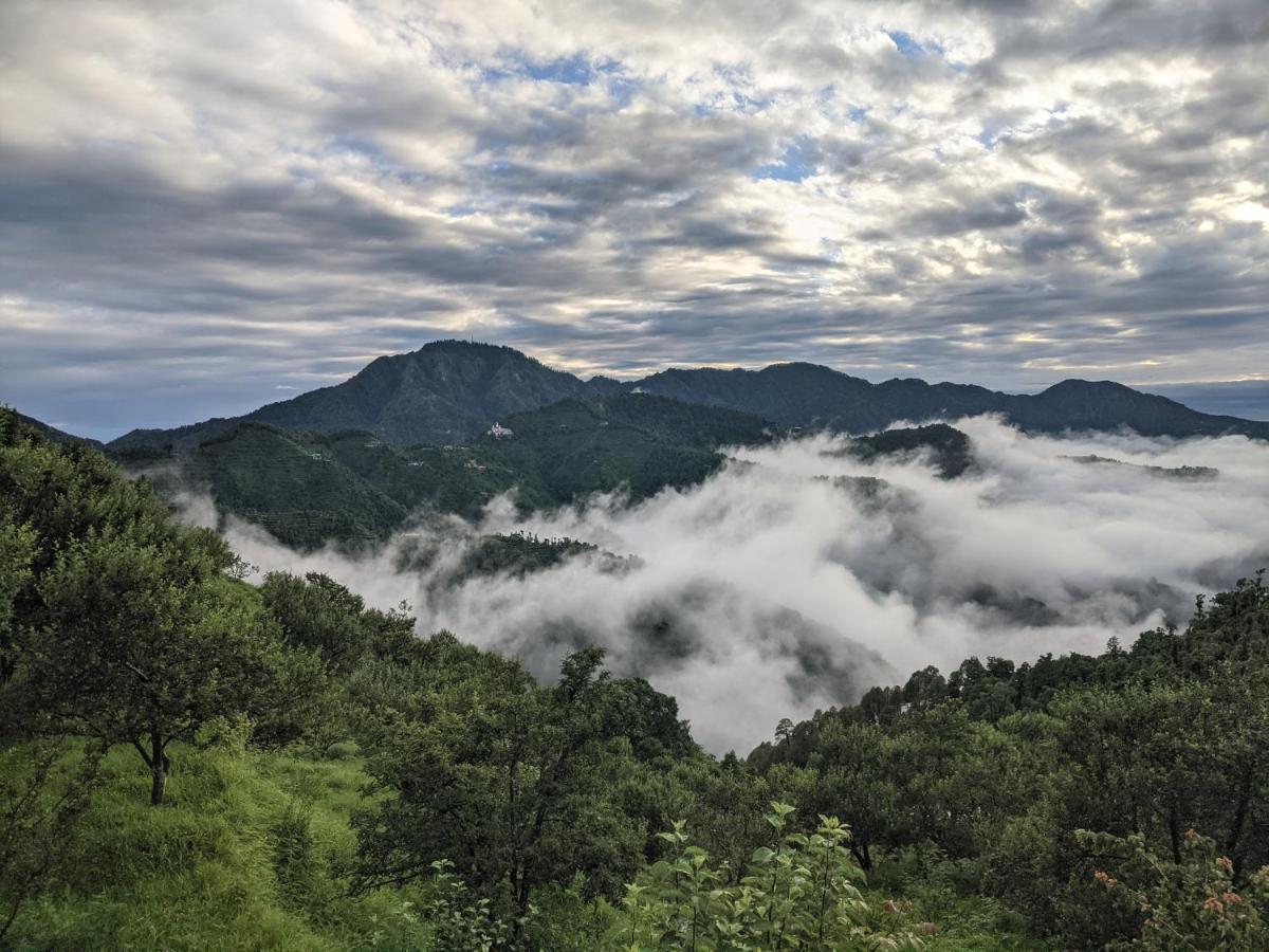 Namastay Himalayas, كاناتال المظهر الخارجي الصورة